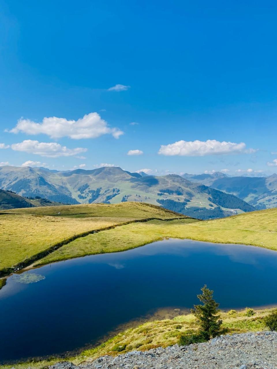 Appartement Mountain & Fun Σάαλμπαχ-Χίντεργκλεμ Εξωτερικό φωτογραφία